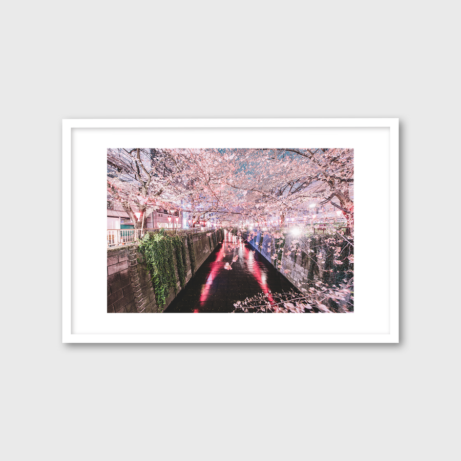 Sakura Stroll