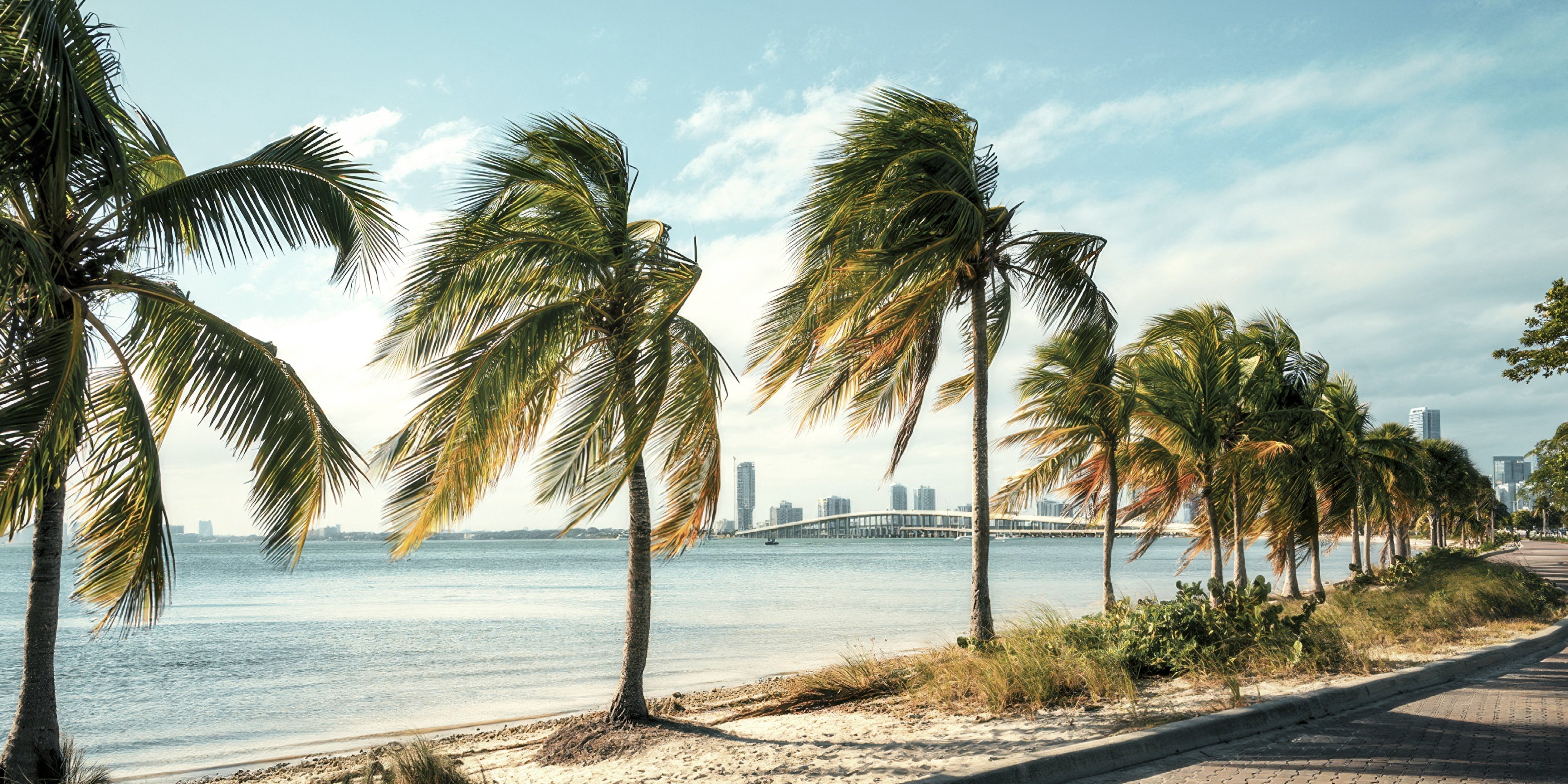 Introducing Trope Miami