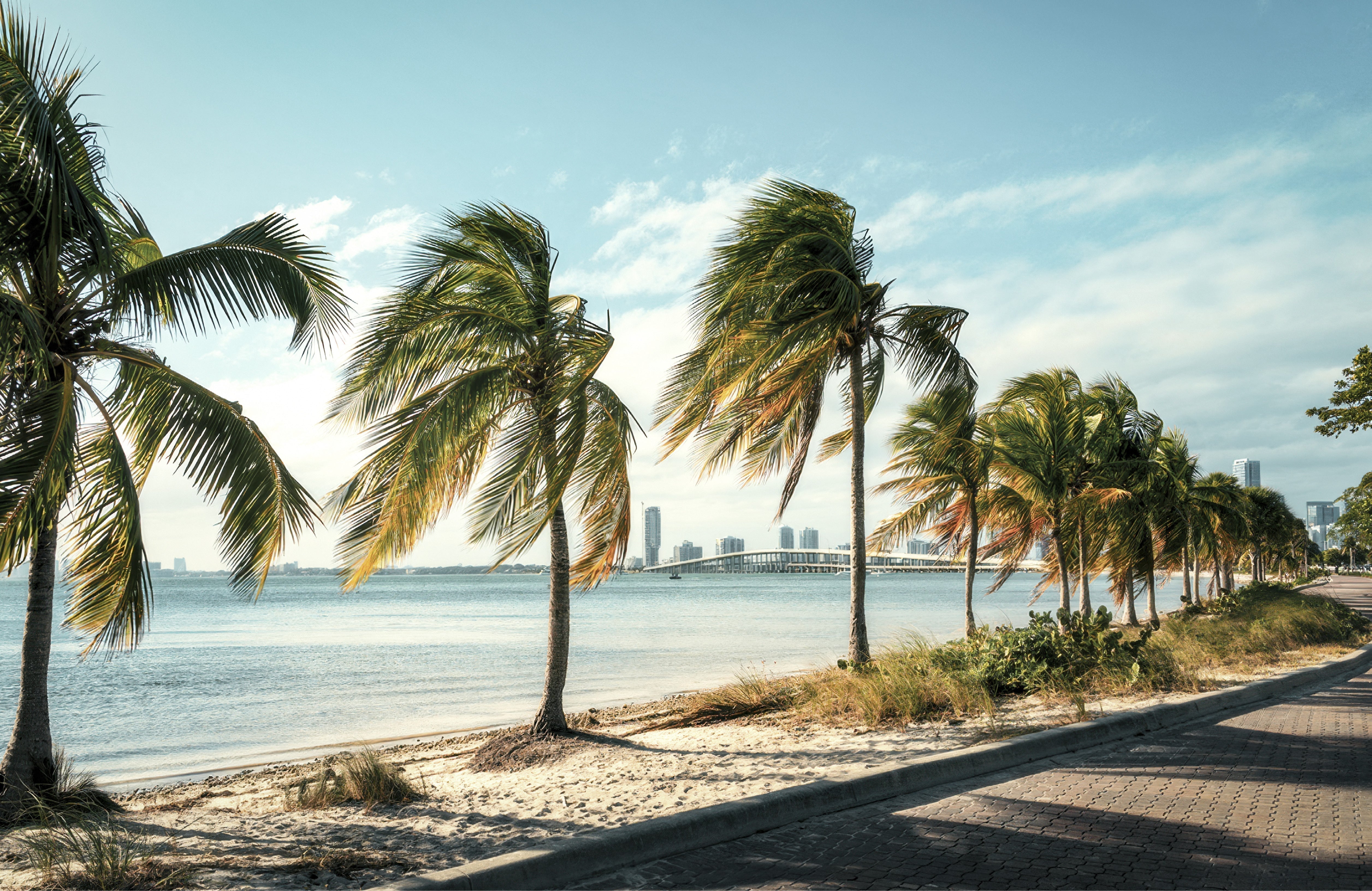 Introducing Trope Miami