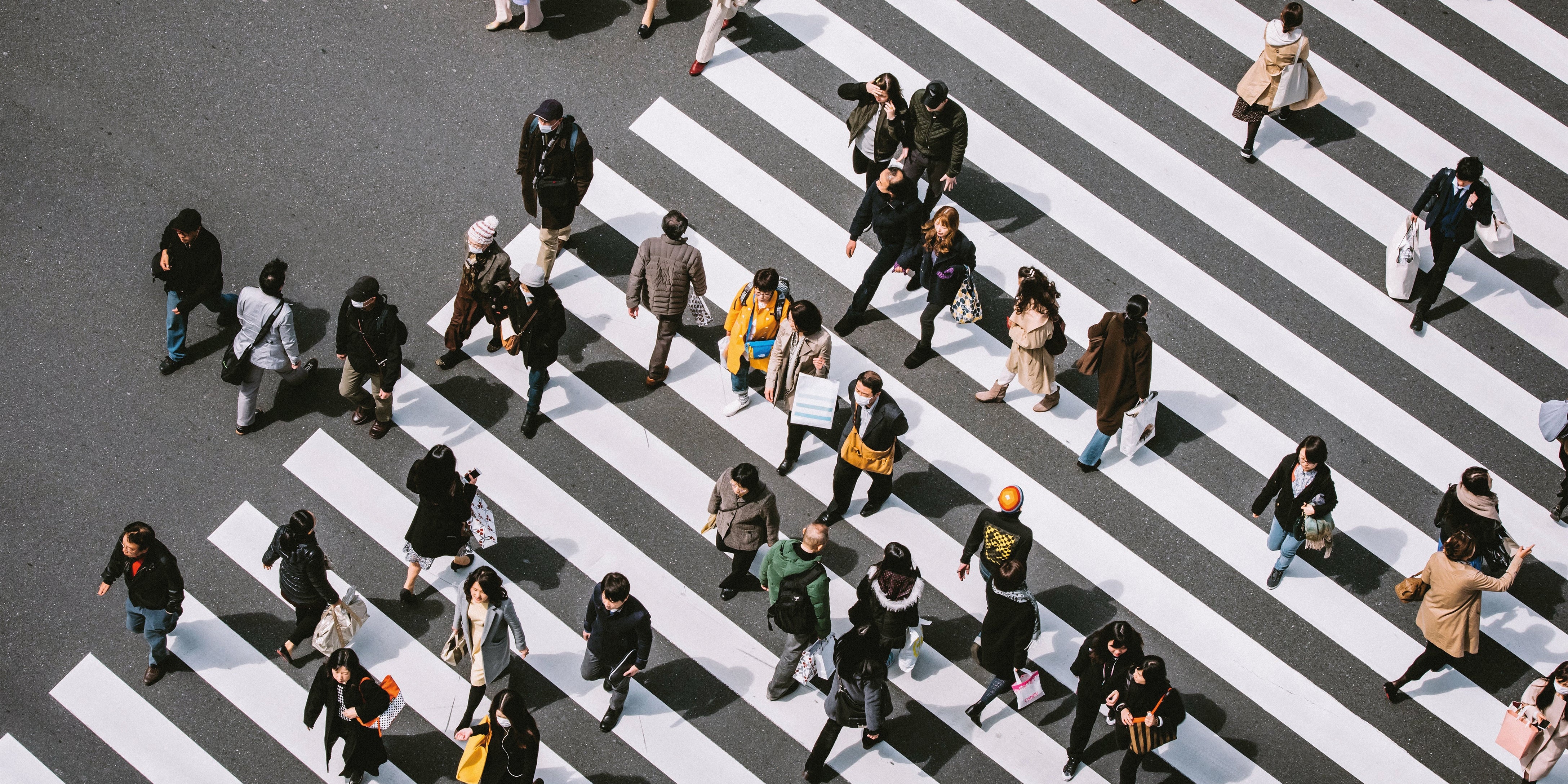 What's New in Trope Tokyo (Revised + Expanded Edition)