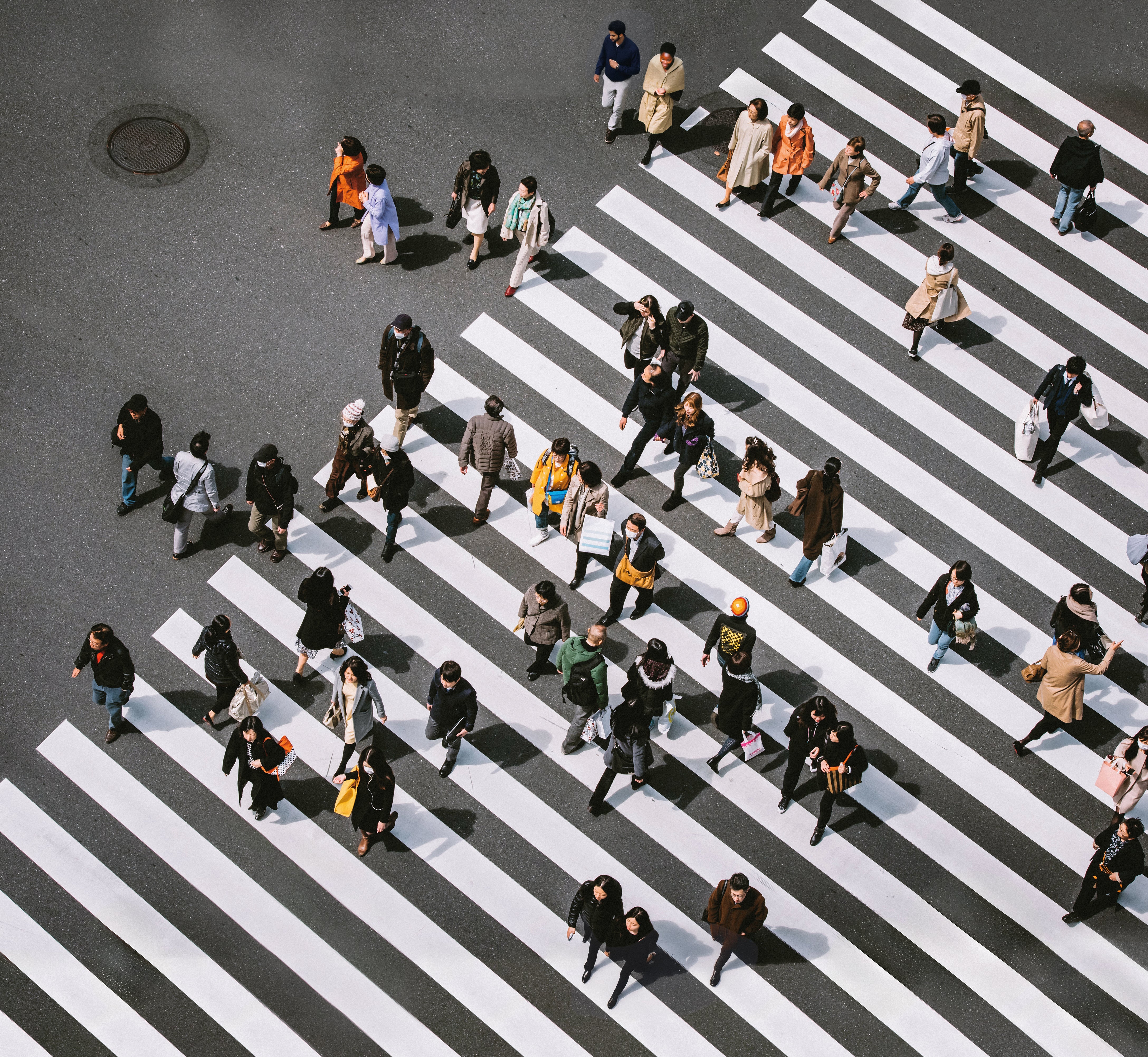 What's New in Trope Tokyo (Revised + Expanded Edition)