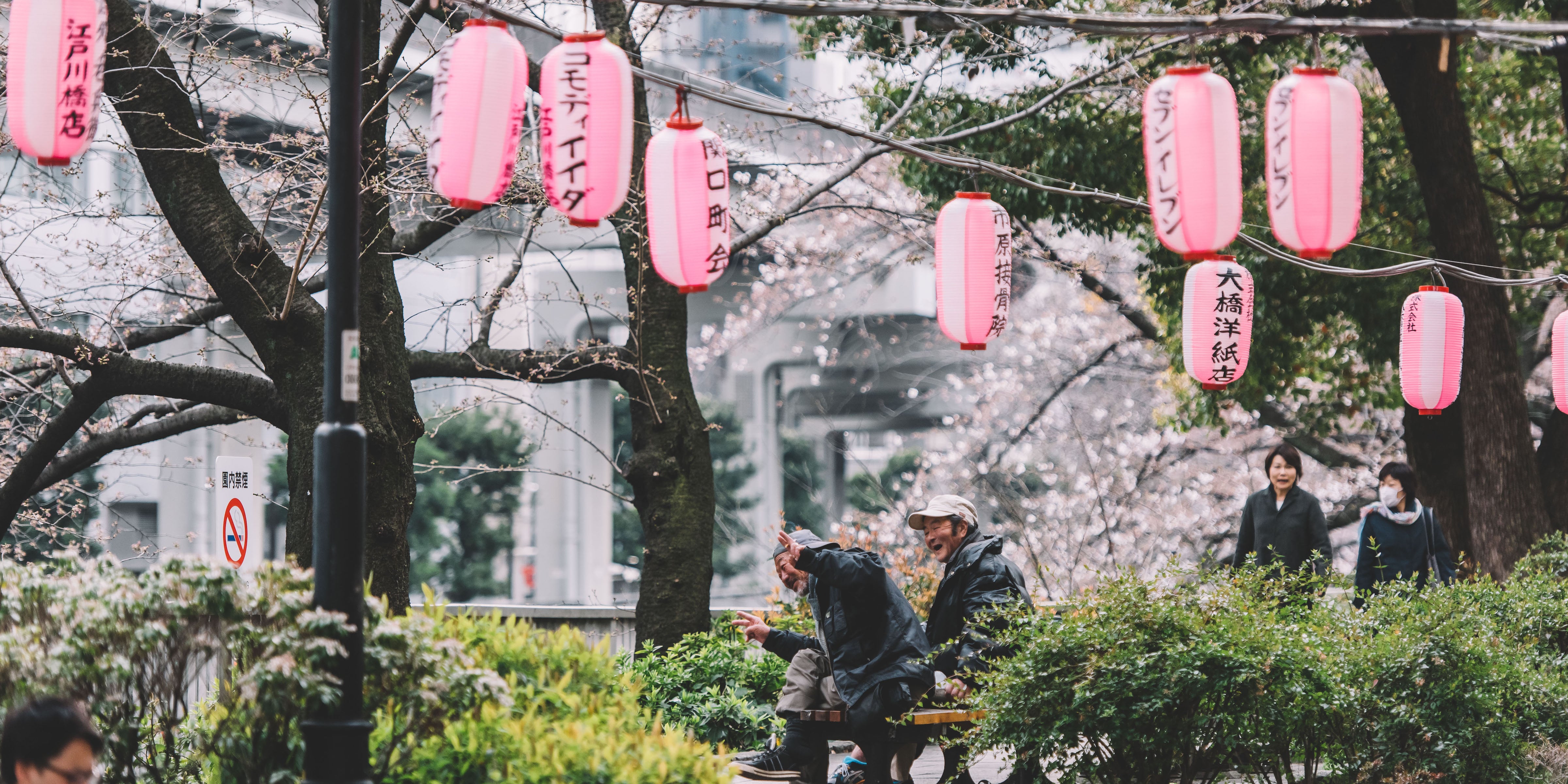 Tokyo is an Intriguing Place to Shoot