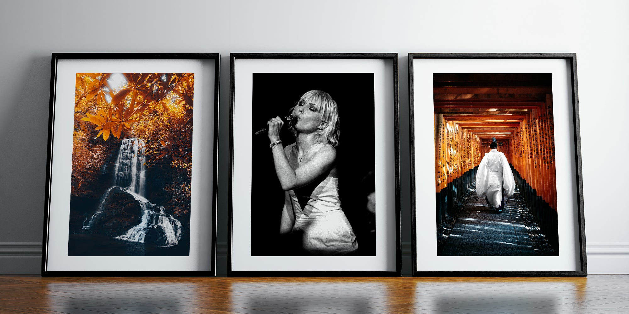 Featuring Collections by Paul Natkin, Eren Sarigul & Mike Poggioli