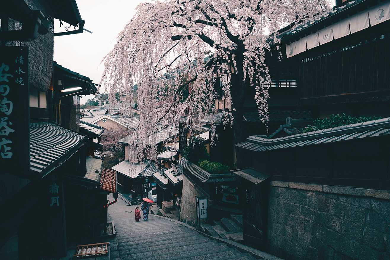 Kyoto Dreaming Collection