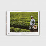 Kyoto Farm to Table Spread 05