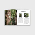 Quiver Book Spread 10