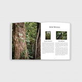 Quiver Book Spread 10
