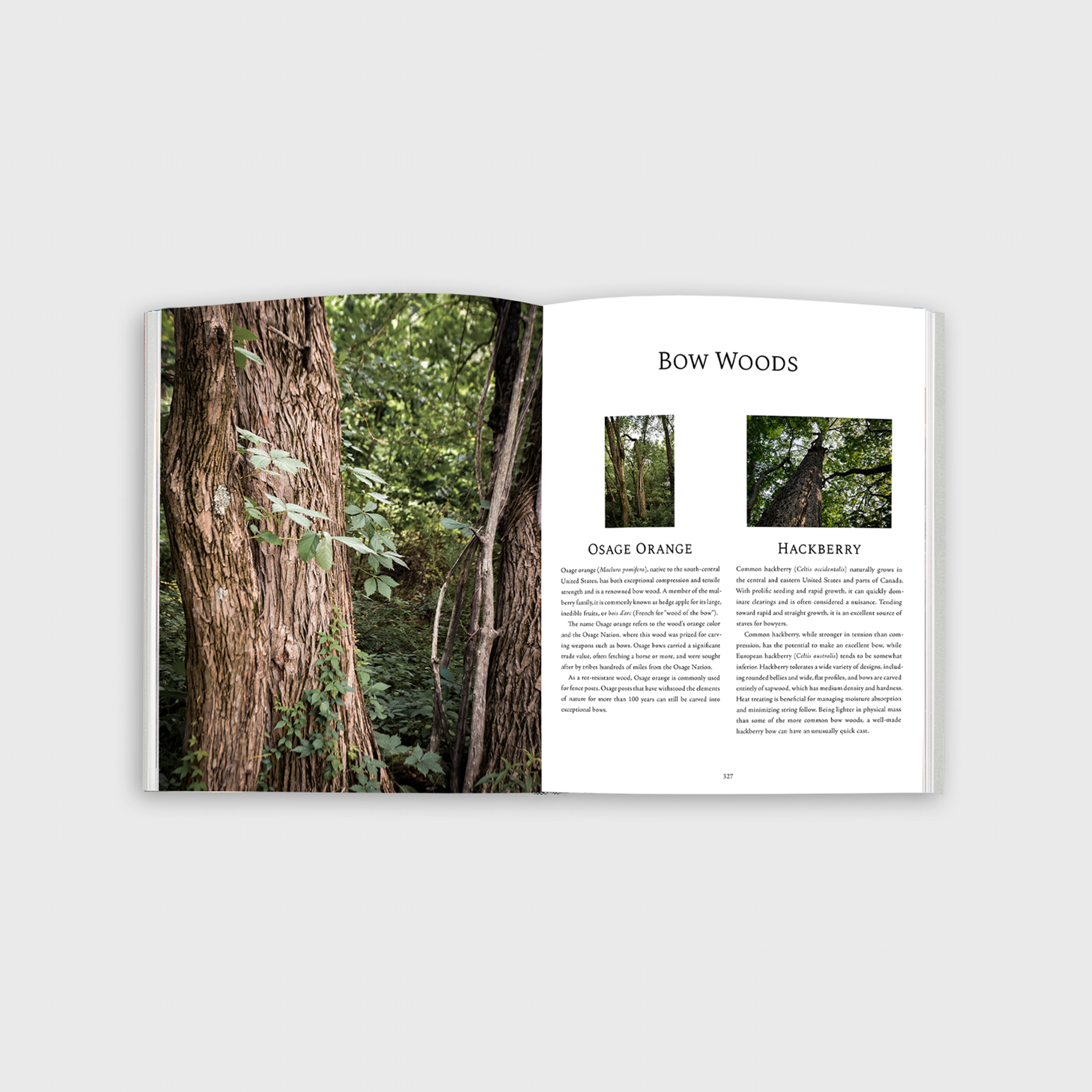 Quiver Book Spread 10