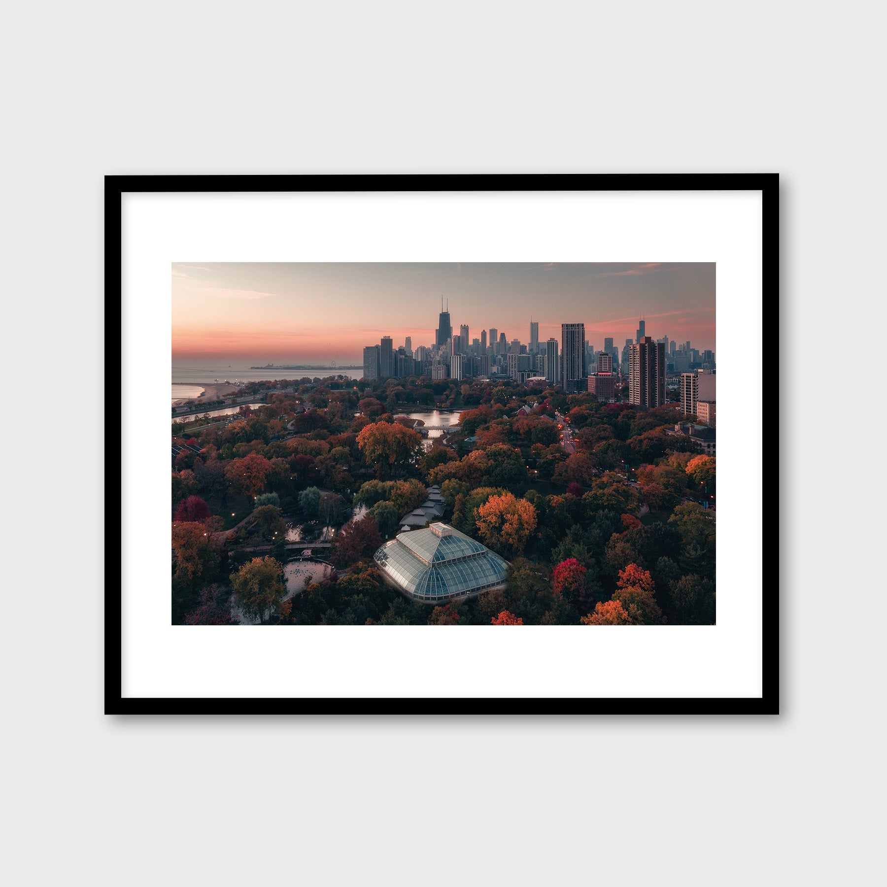 Above Lincoln Park