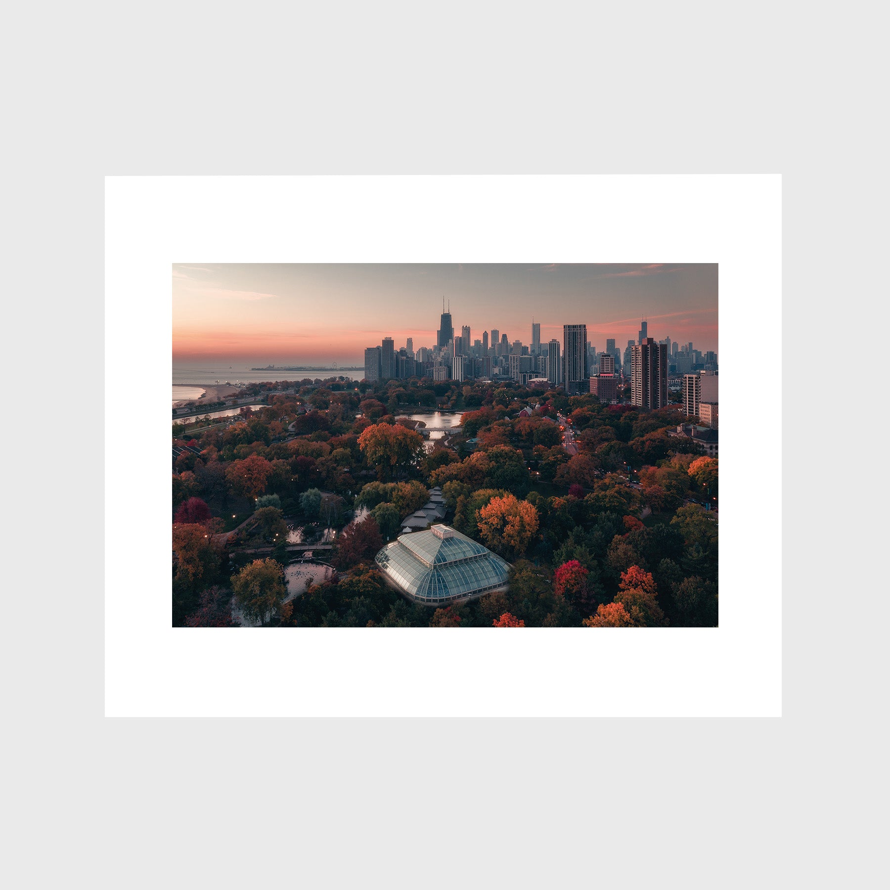 Above Lincoln Park