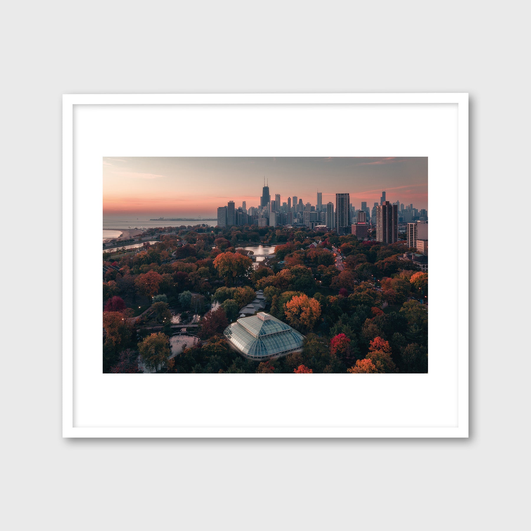 Above Lincoln Park