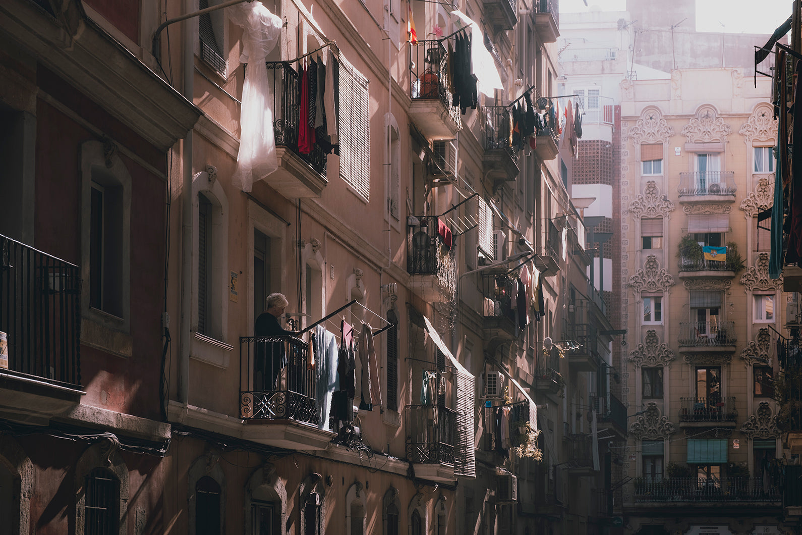 The Barcelona Dreaming Collection