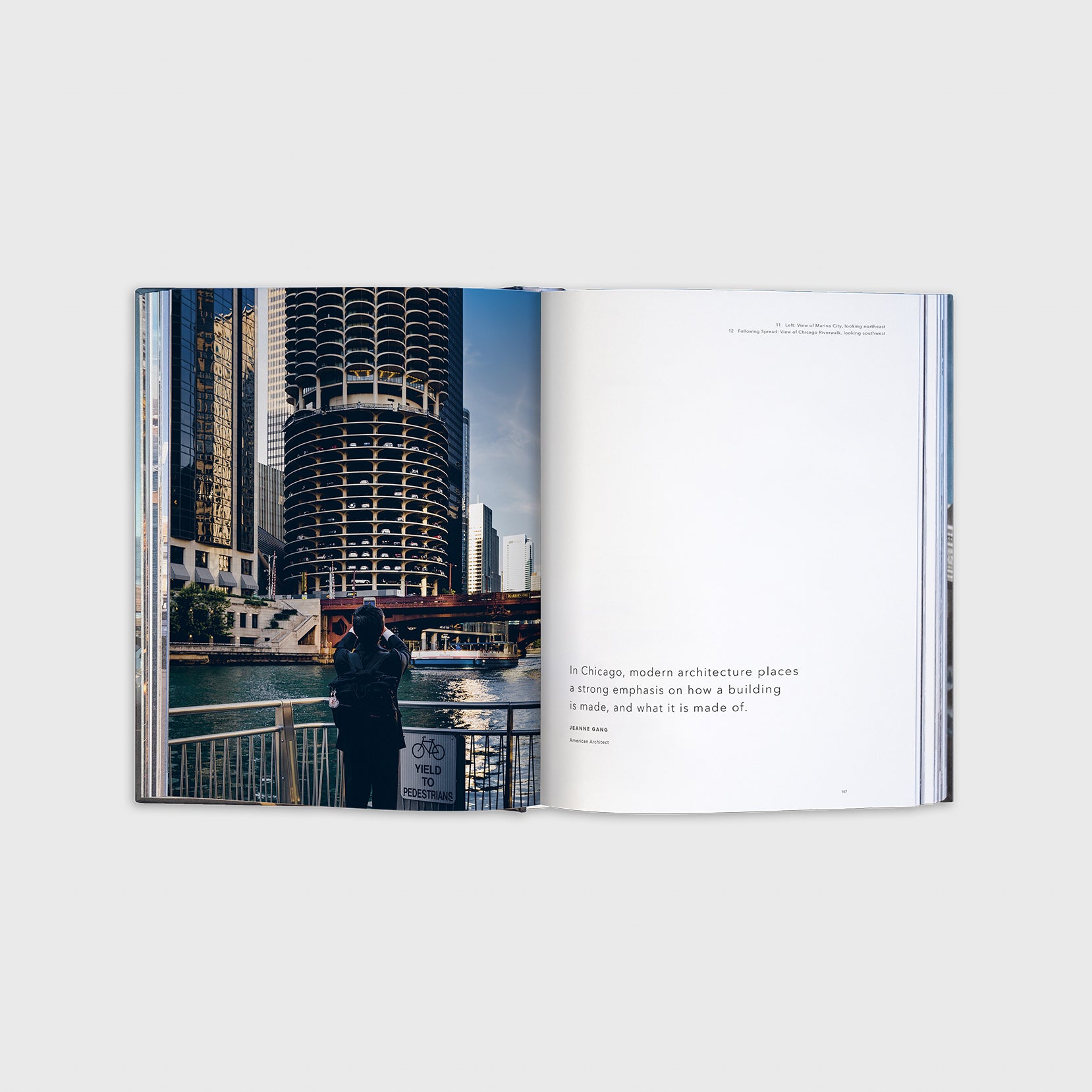 Chicago Photography Book | Chicago The Loop & Beyond – Trope Publishing Co
