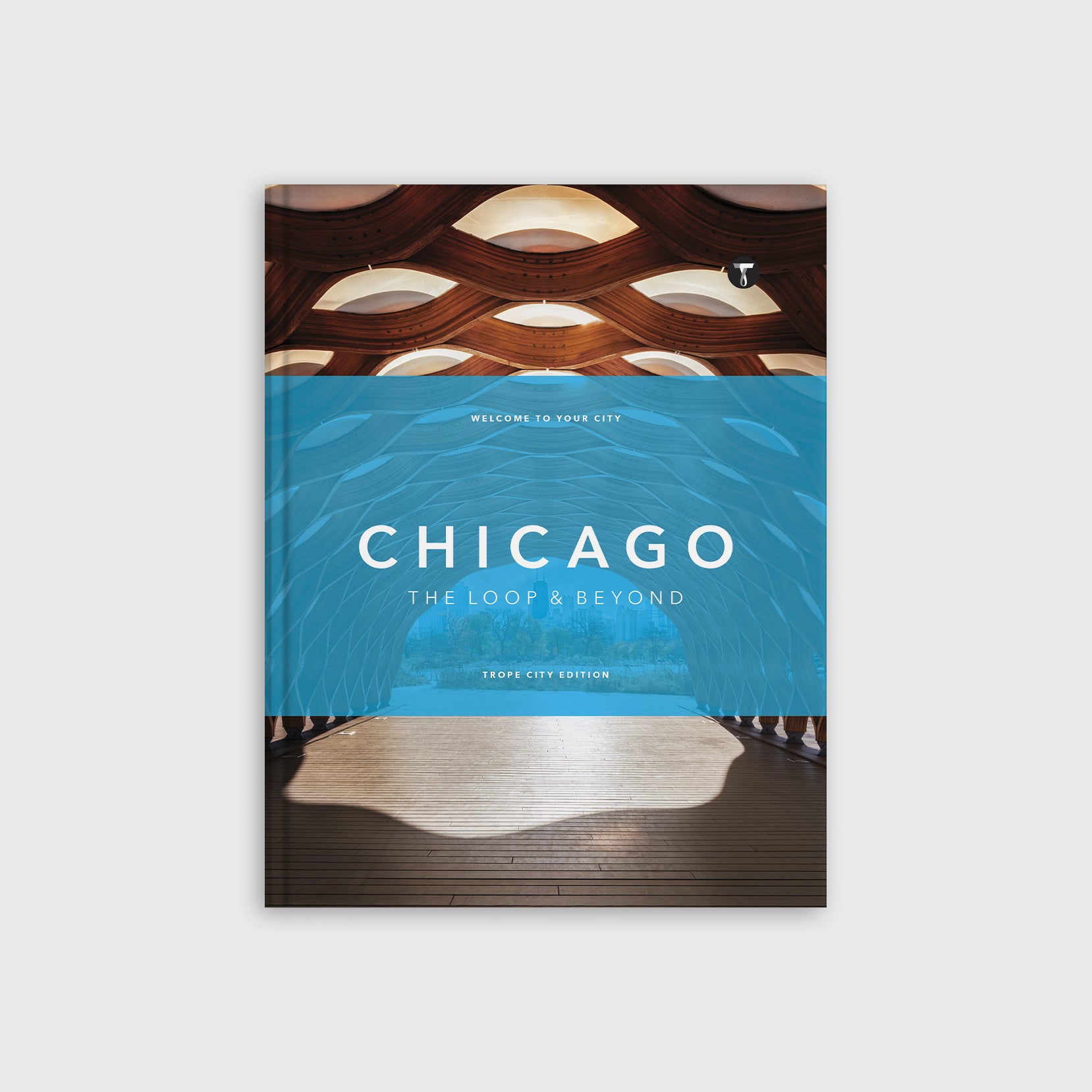 Chicago Photography Book | Chicago The Loop & Beyond – Trope Publishing Co