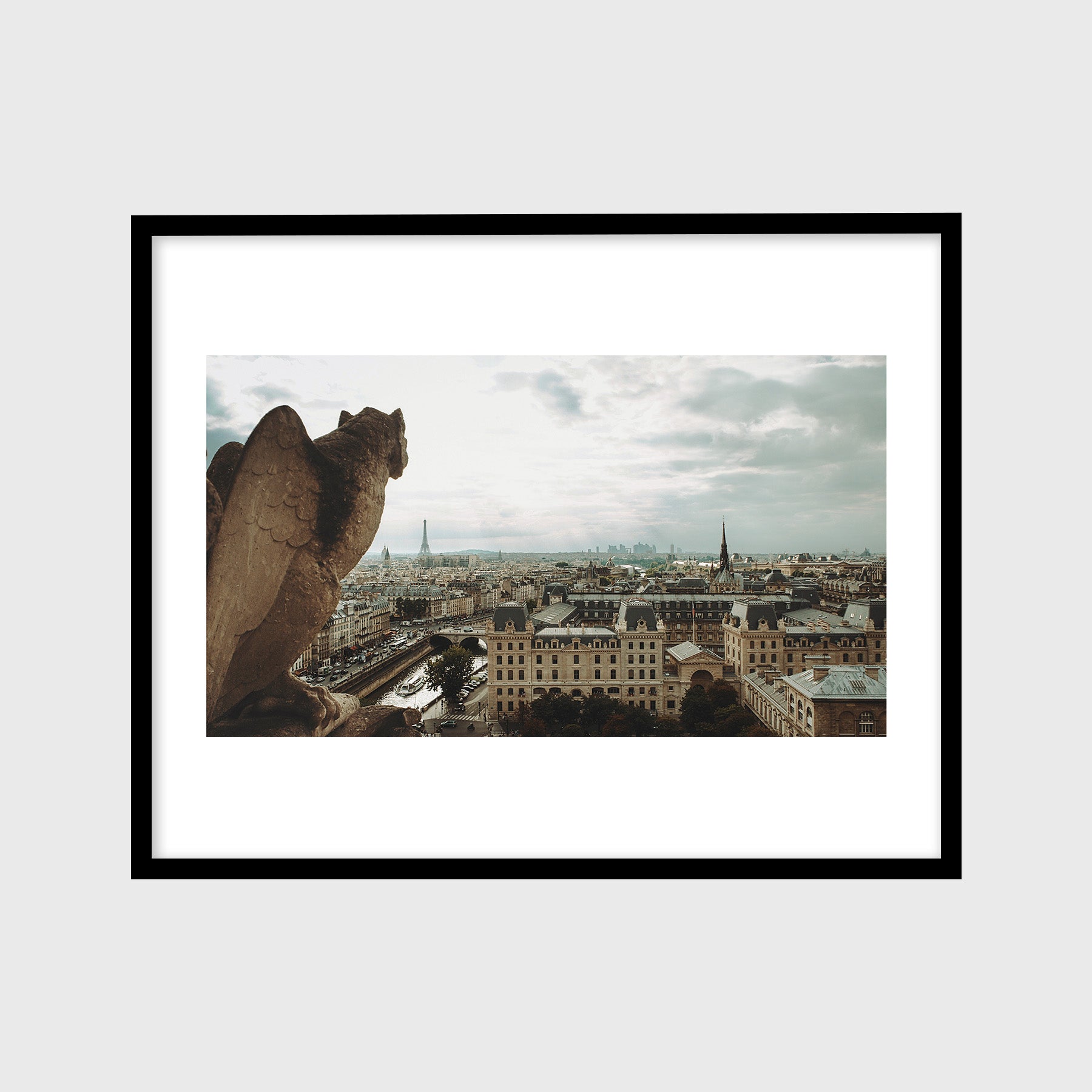 View from Notre-Dame Cathedral