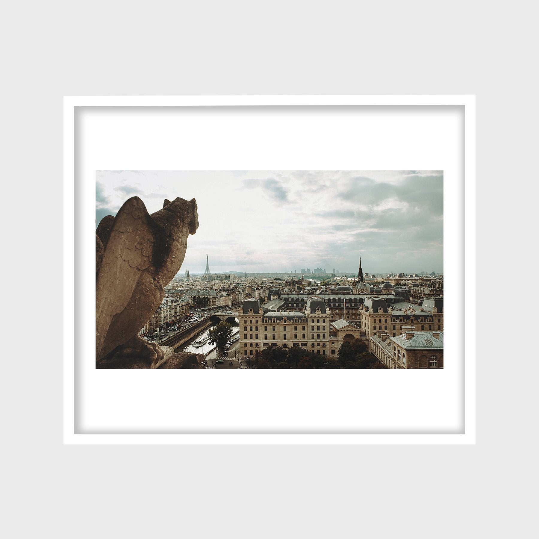 View from Notre-Dame Cathedral