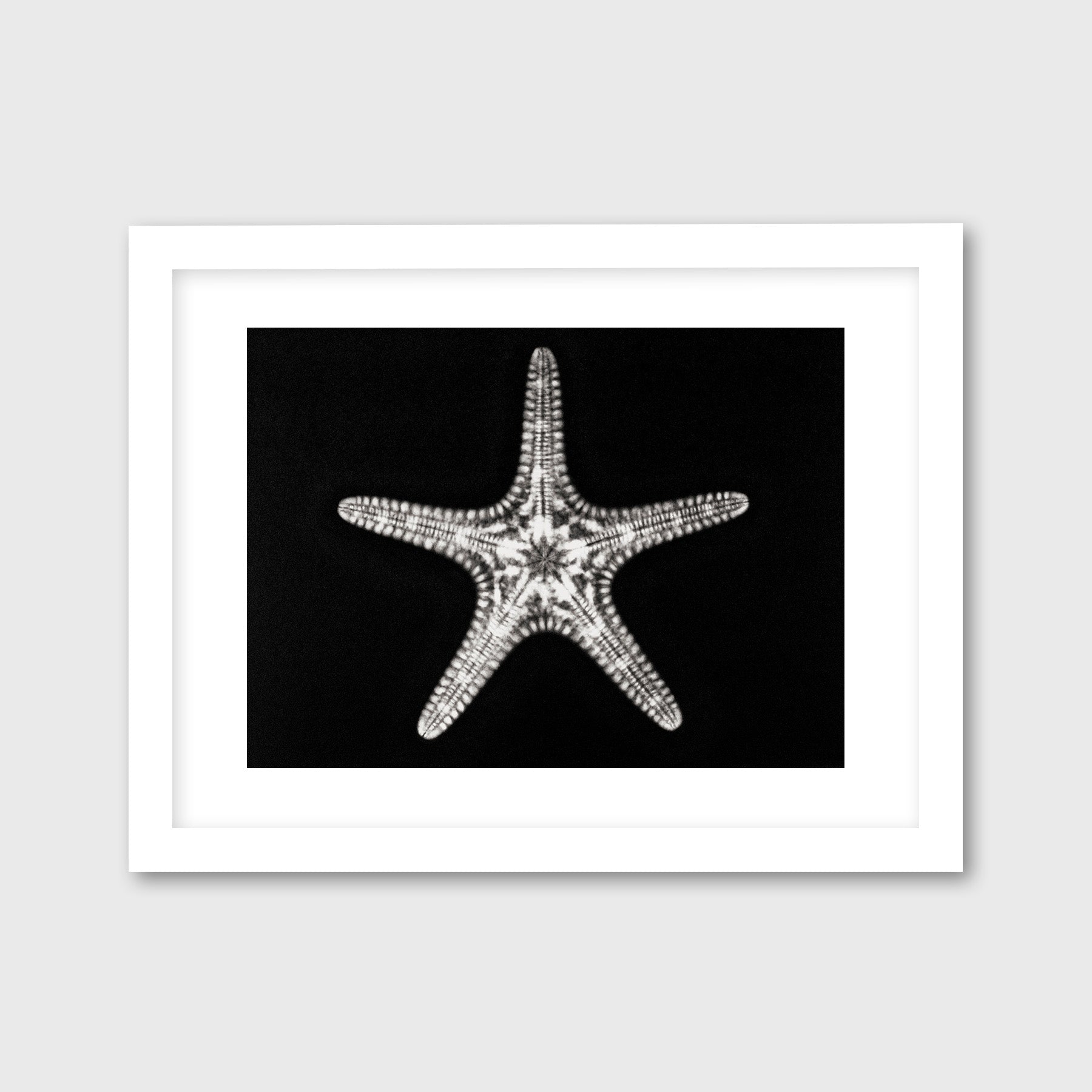 Starfish