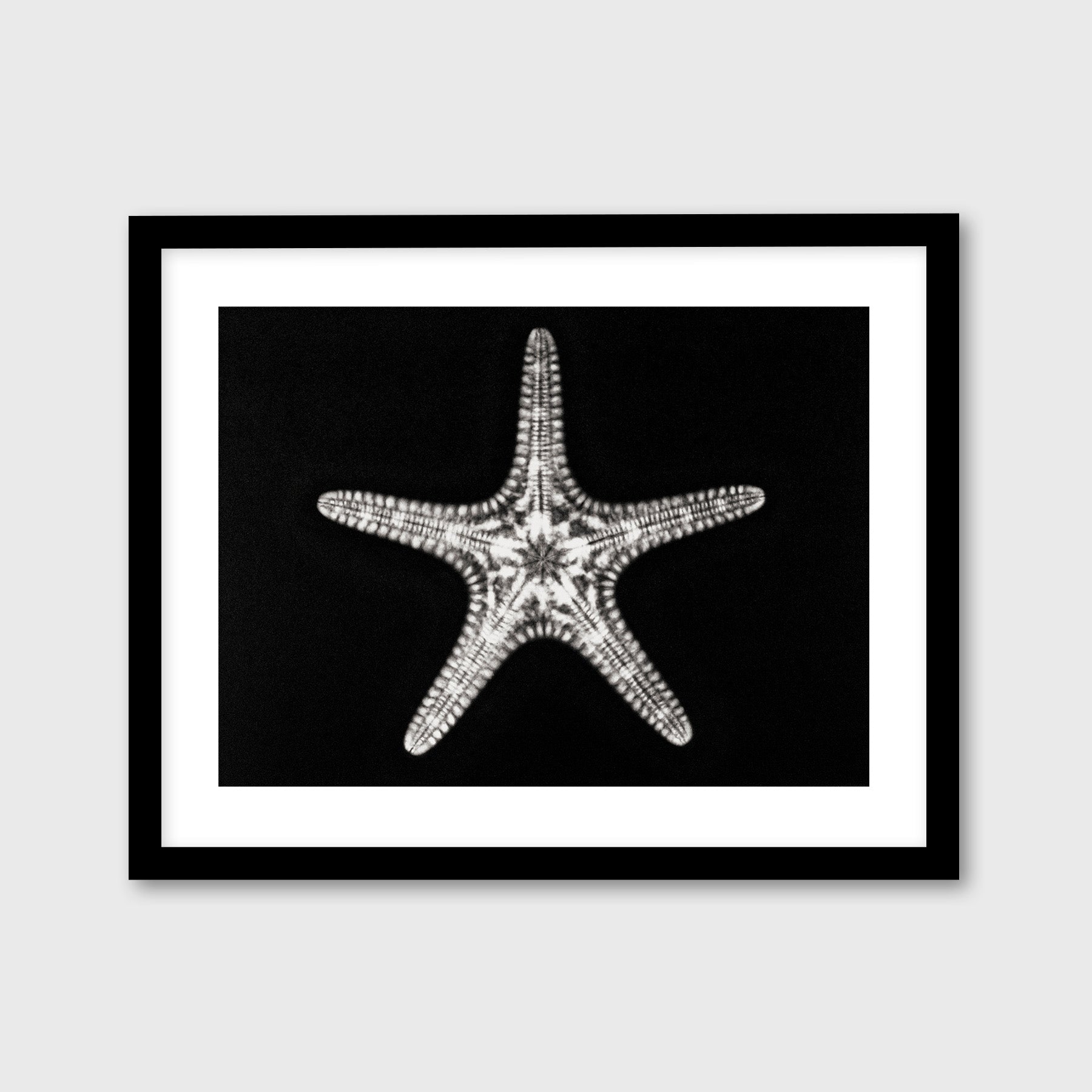 Starfish