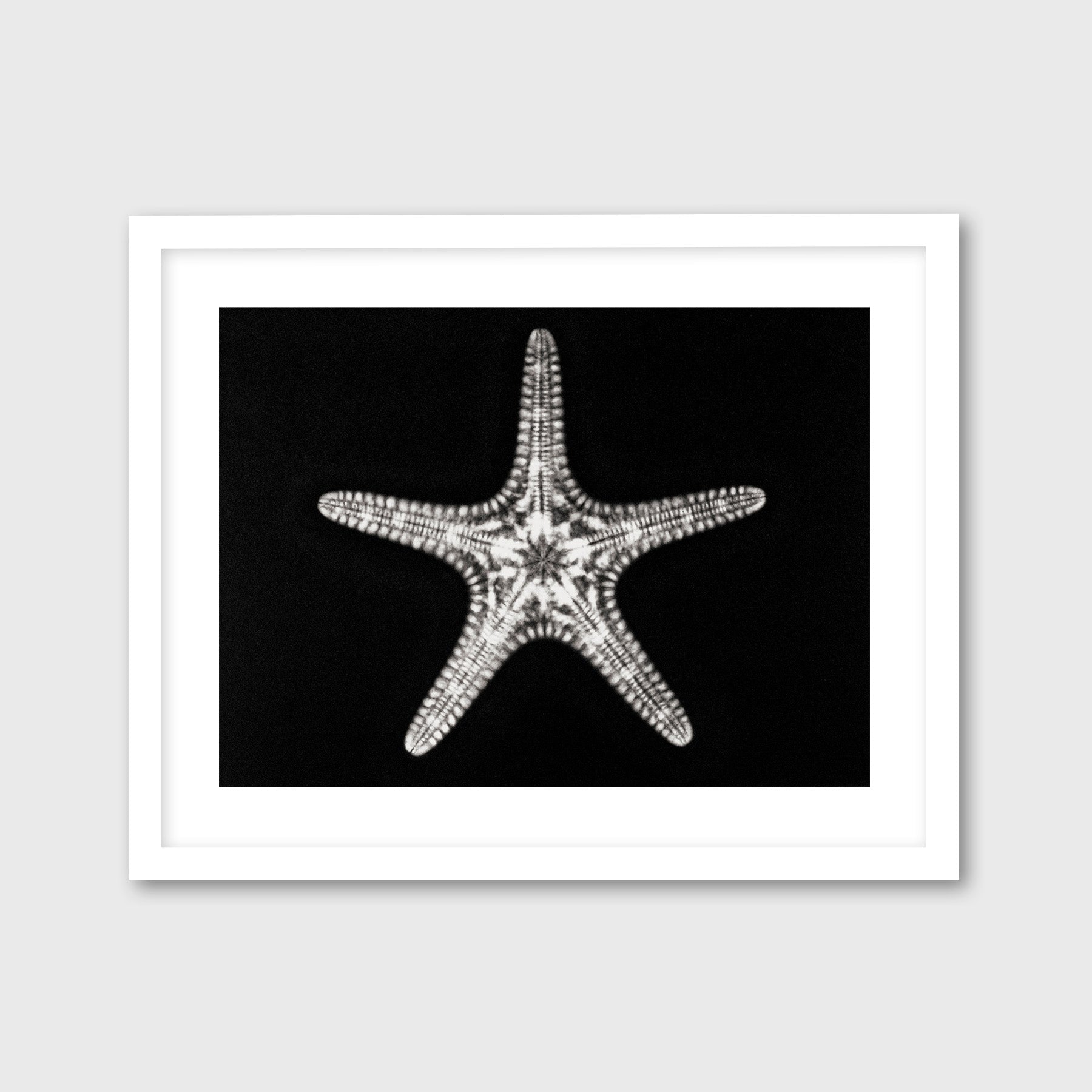 Starfish