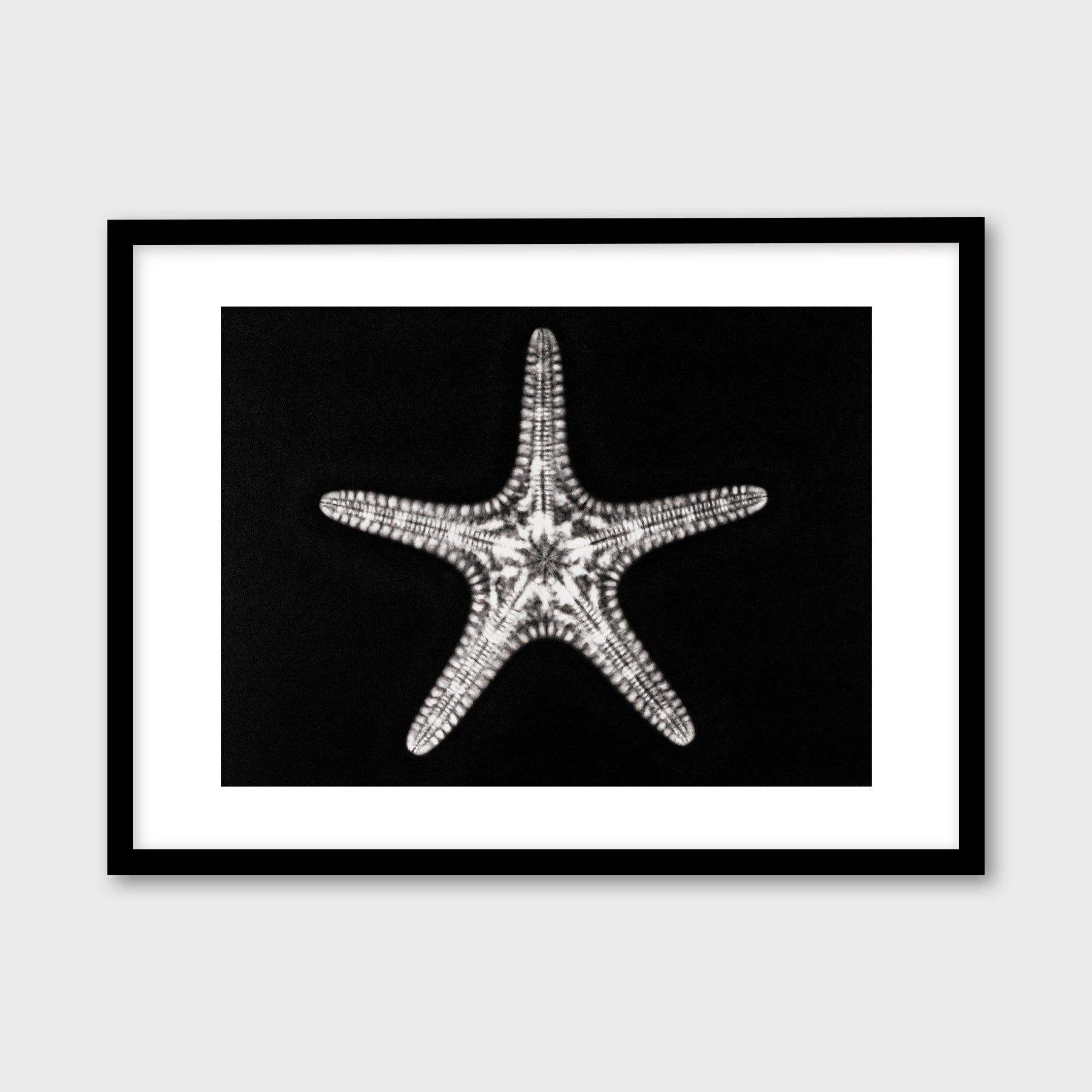 Starfish