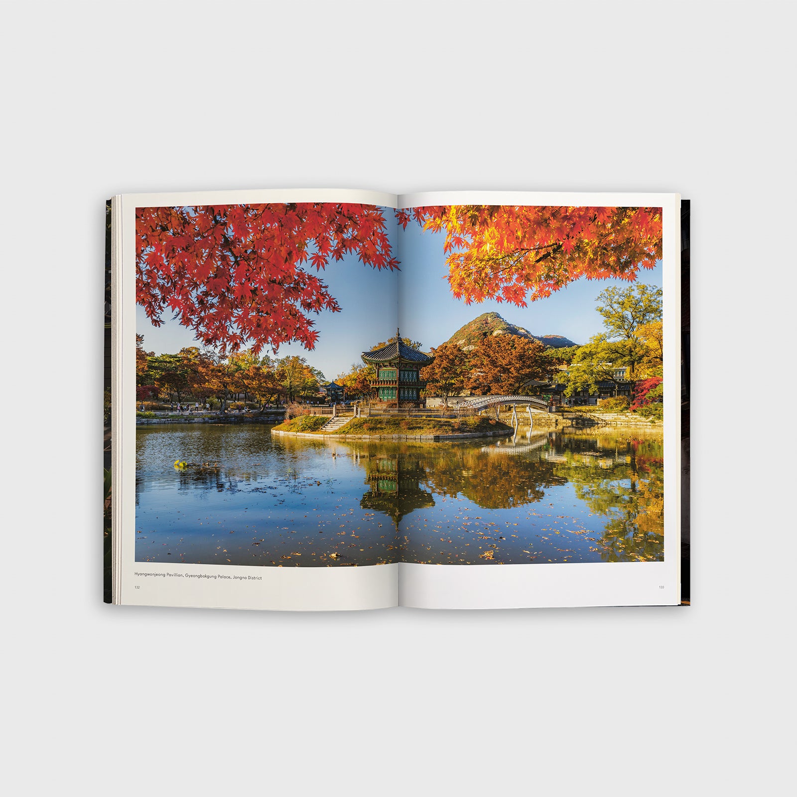 Seoul Days & Nights Spread 3