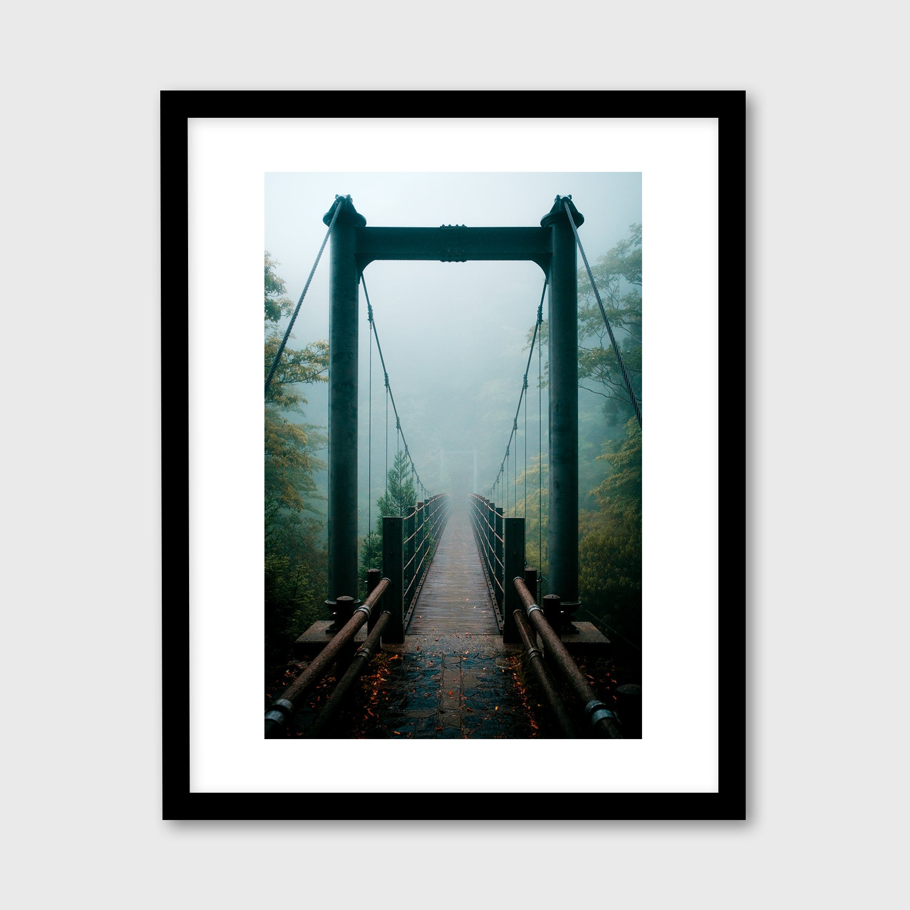 Yakushima Bridge I