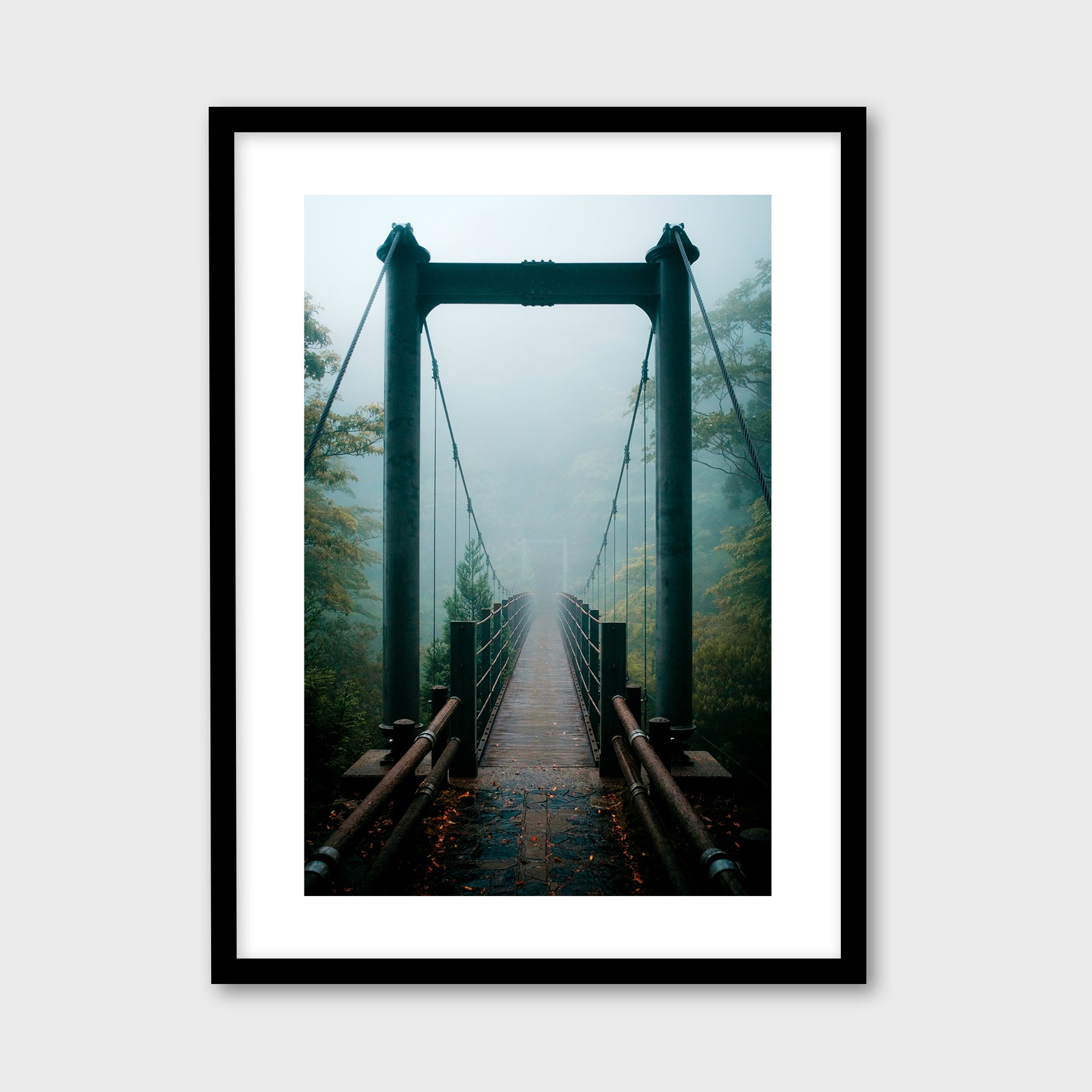 Yakushima Bridge I