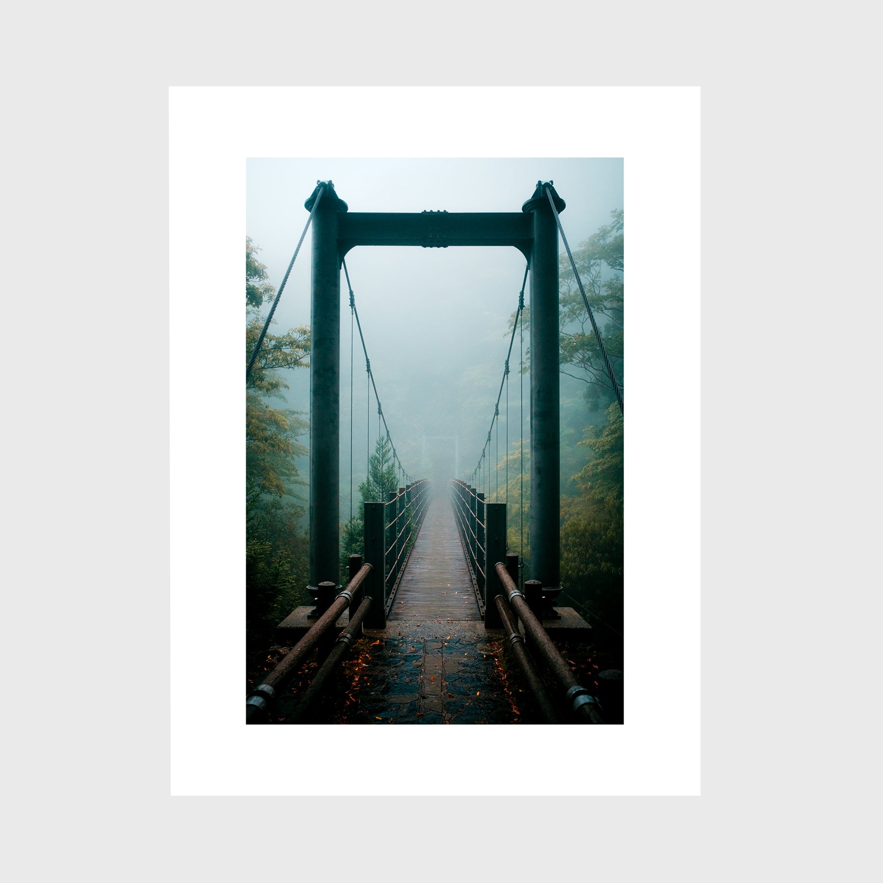 Yakushima Bridge I