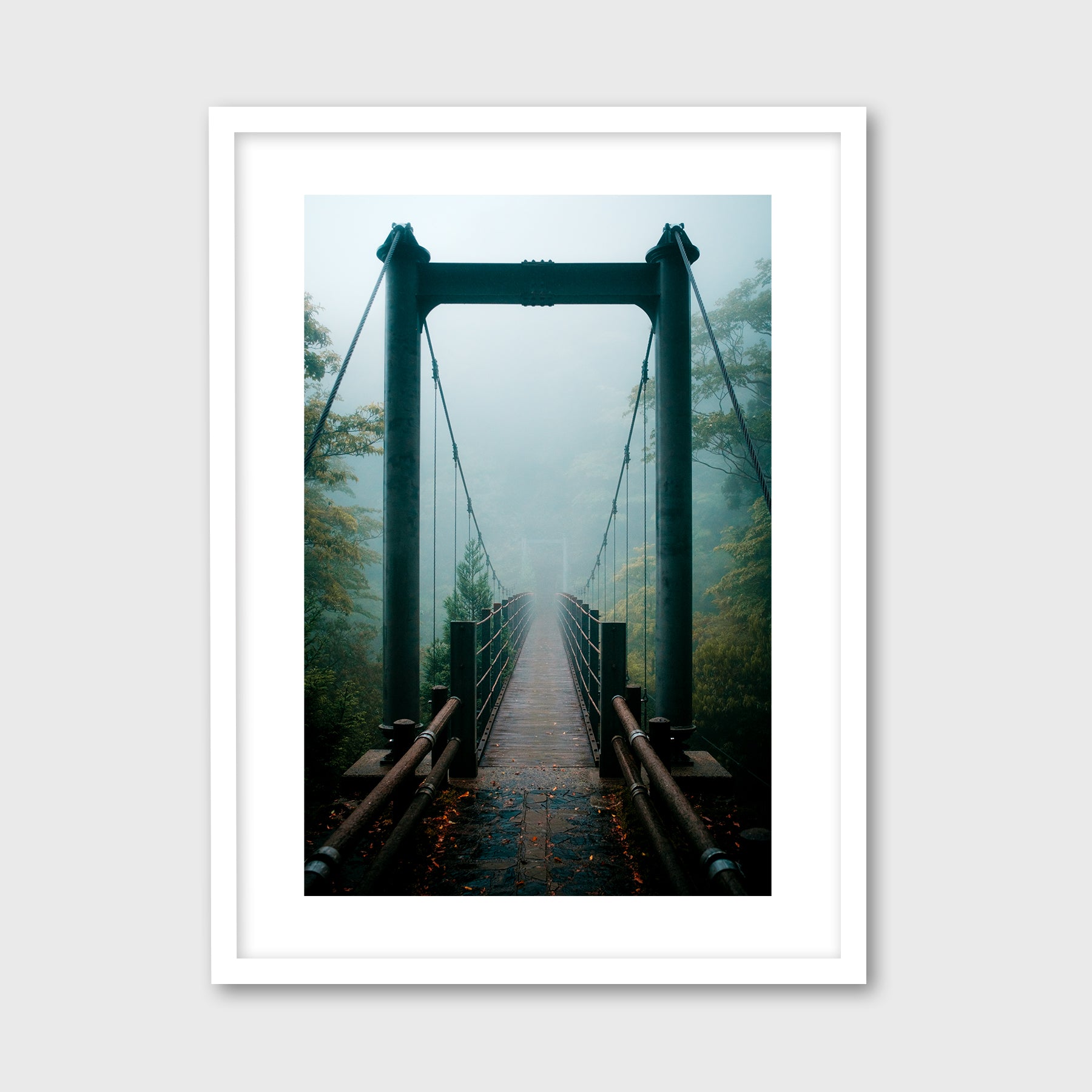 Yakushima Bridge I