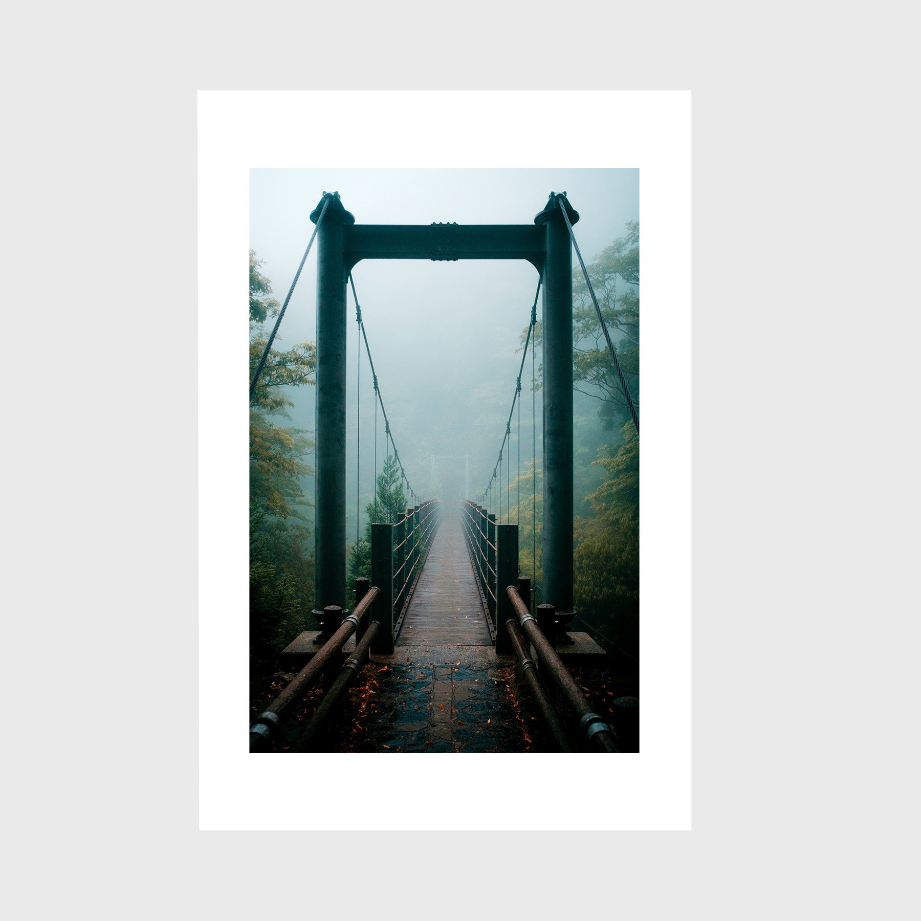 Yakushima Bridge I