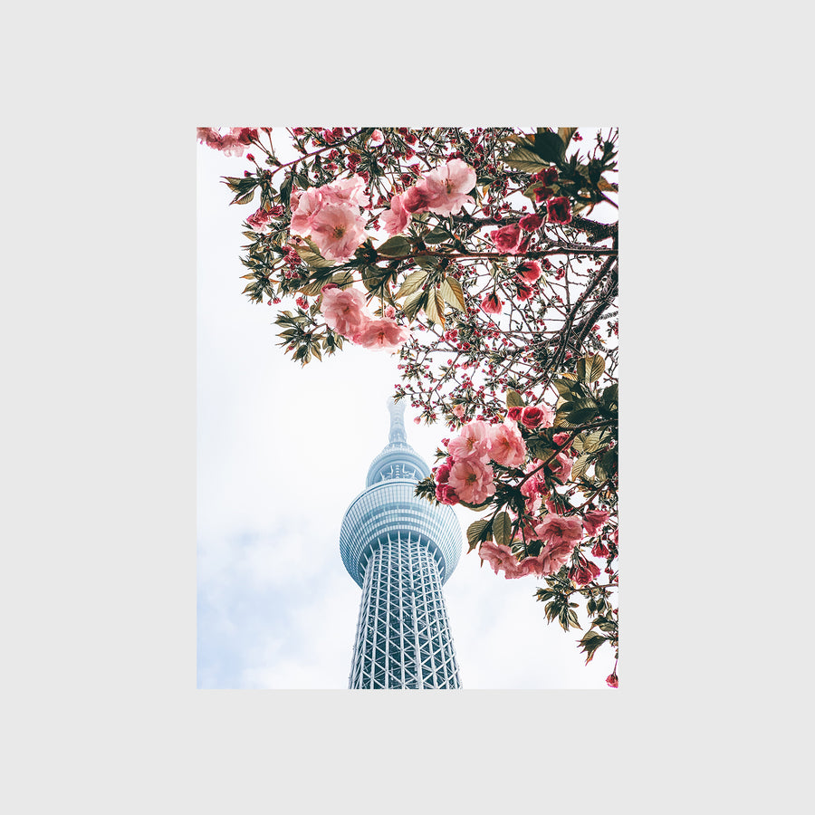 Skytree Blooms