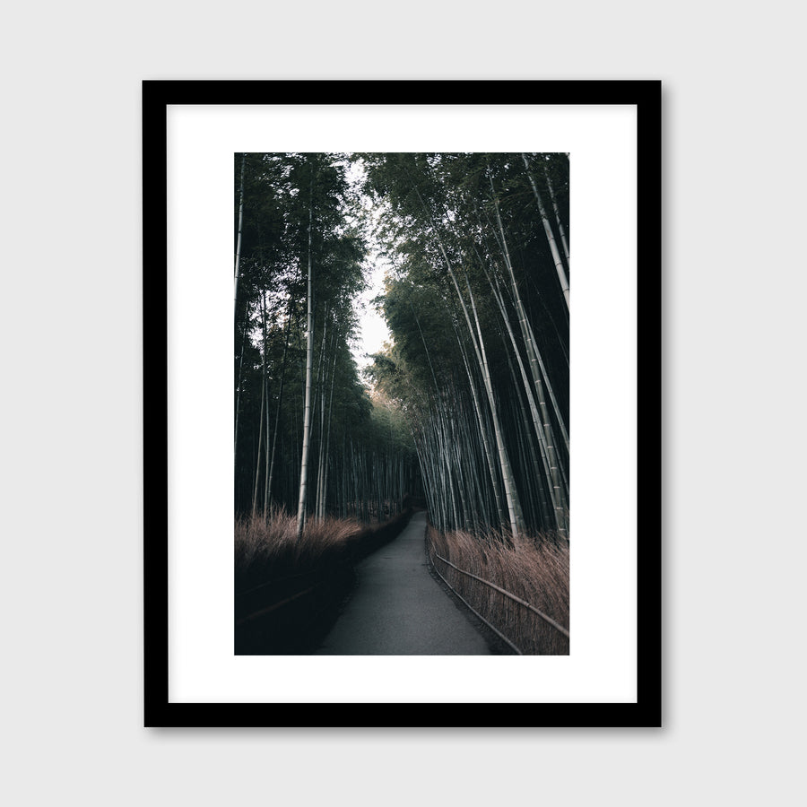 Arashiyama Bamboo Forest