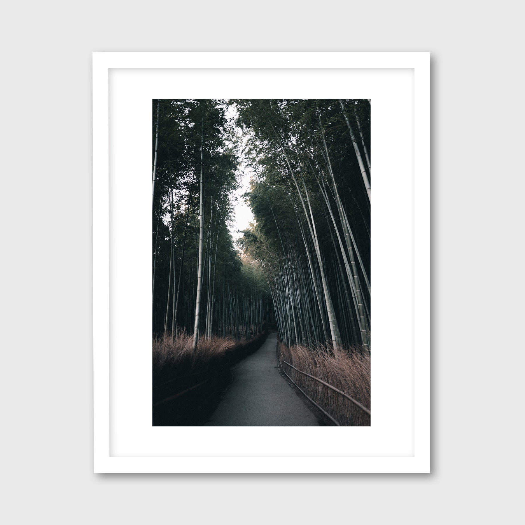 Arashiyama Bamboo Forest