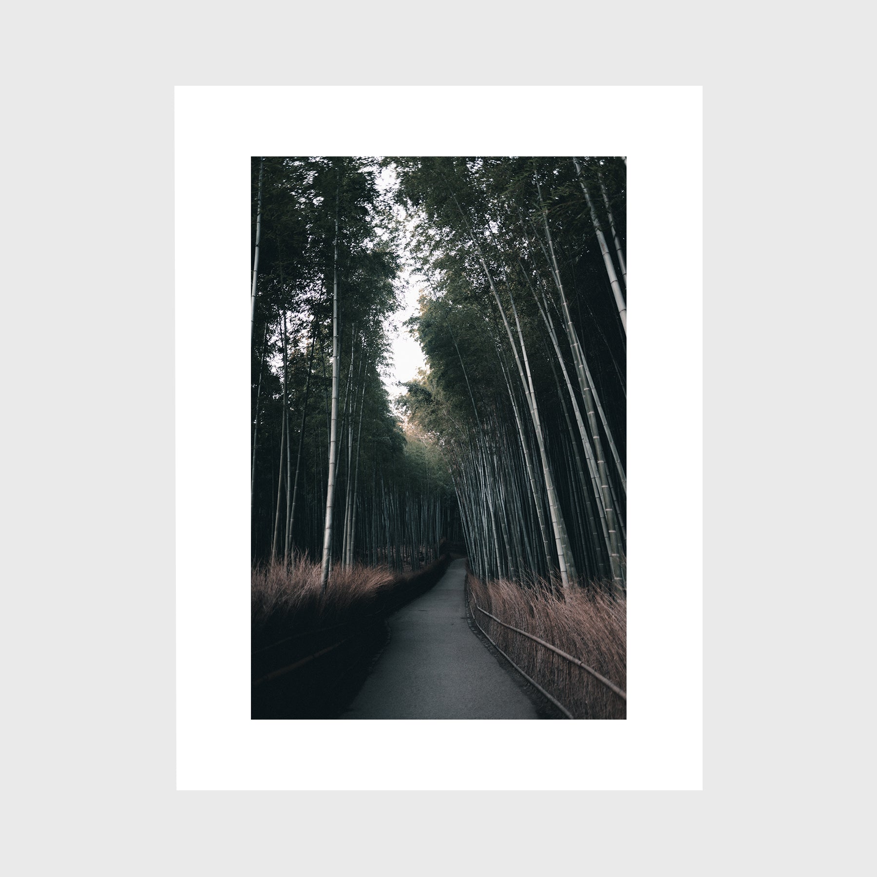 Arashiyama Bamboo Forest