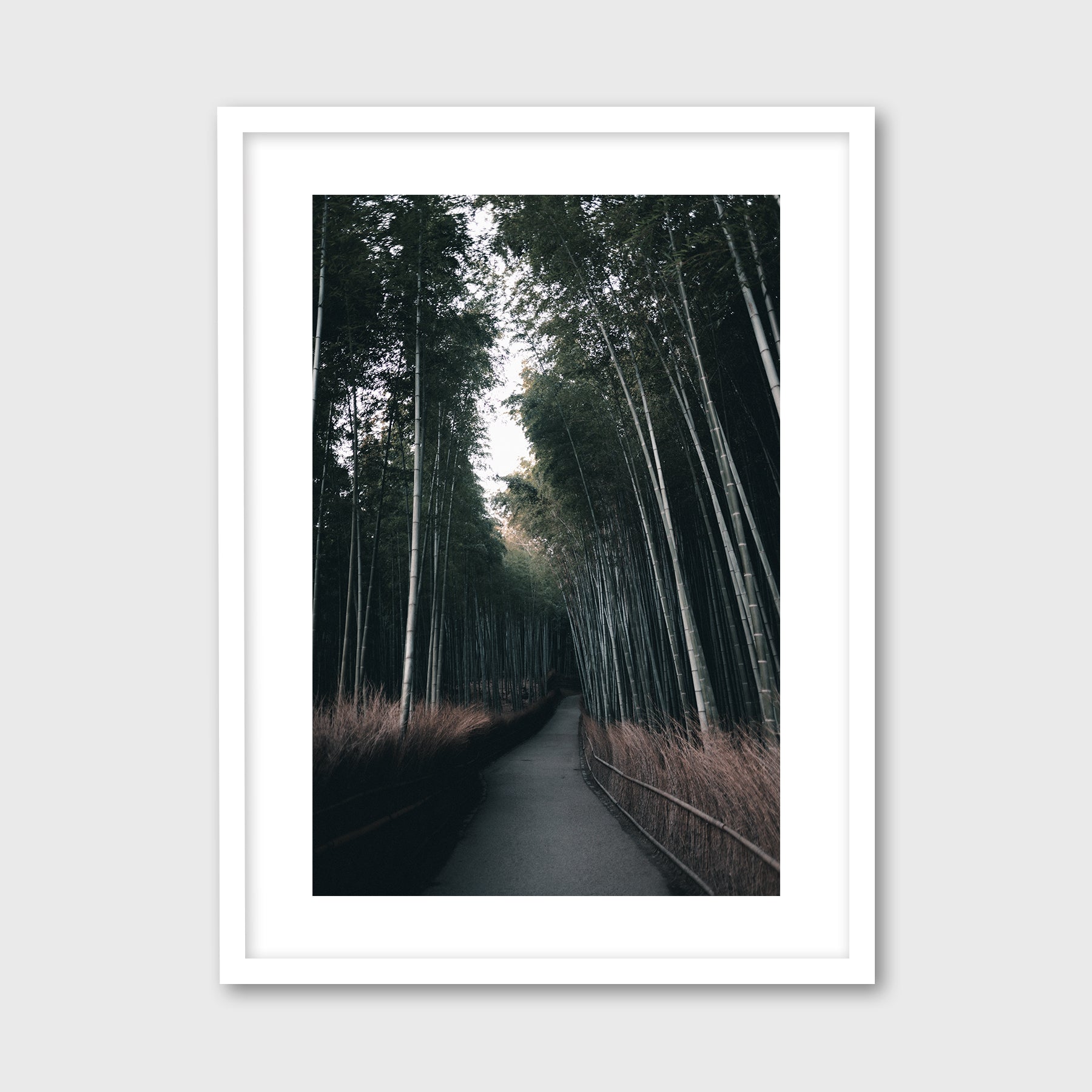 Arashiyama Bamboo Forest